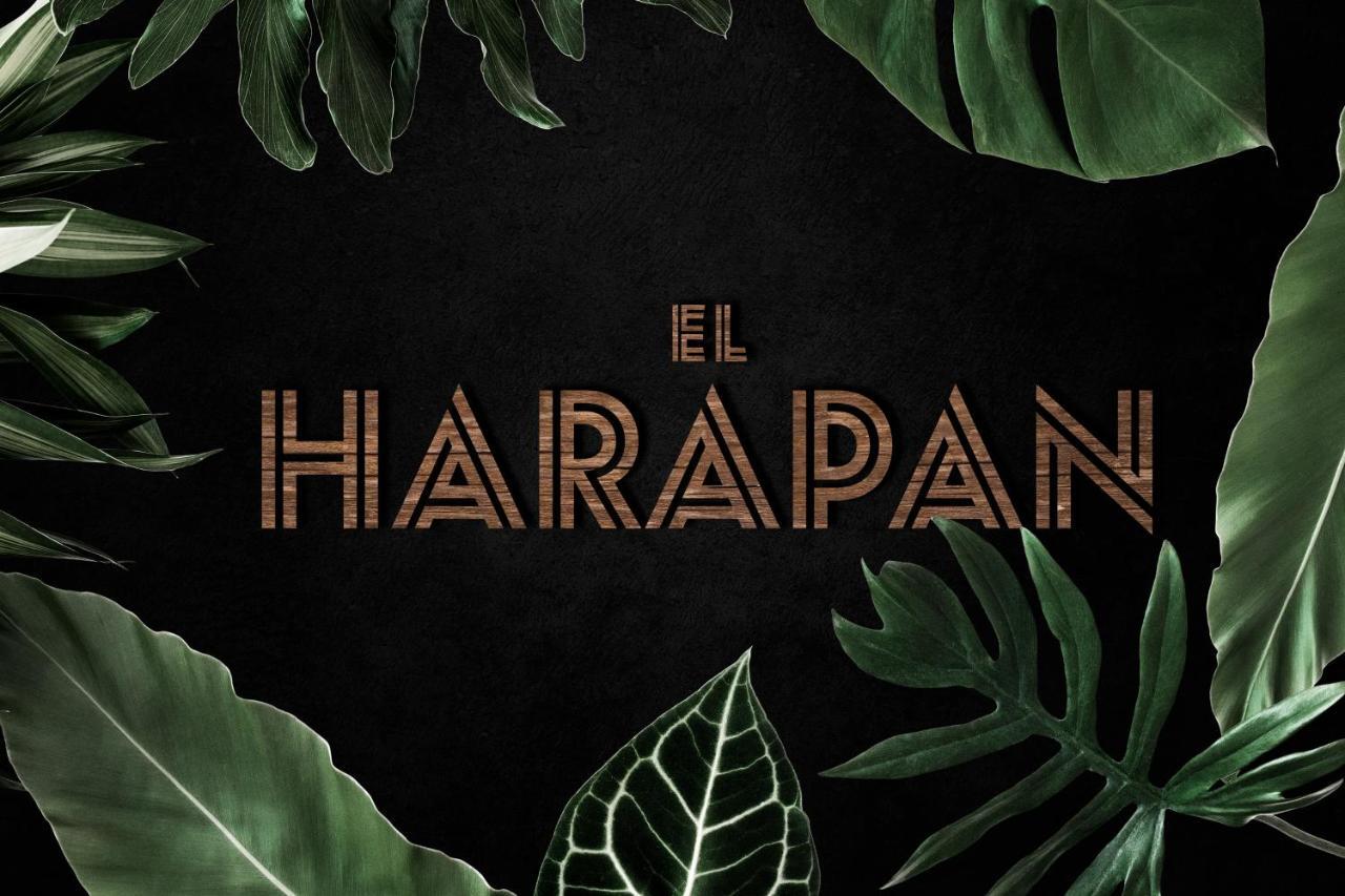 El Harapan - Sumergete En Una Selva A Pie De Playa - Grupo Querbes Gijón Eksteriør bilde